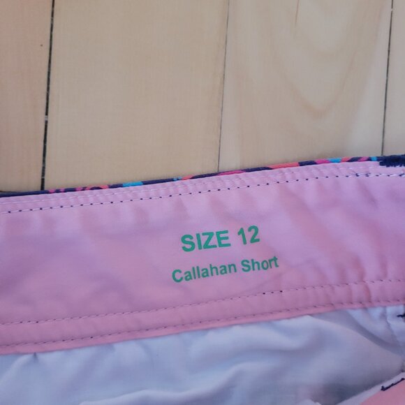 Lilly Pulitzer Size 12 Pink and Blue Size 12 Shorts - Picture 2 of 4